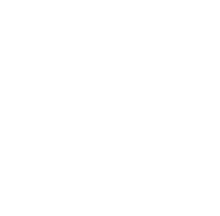 Paul's Leatherpaint